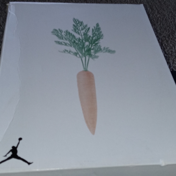 Jordan Other - Jordan 6 hare